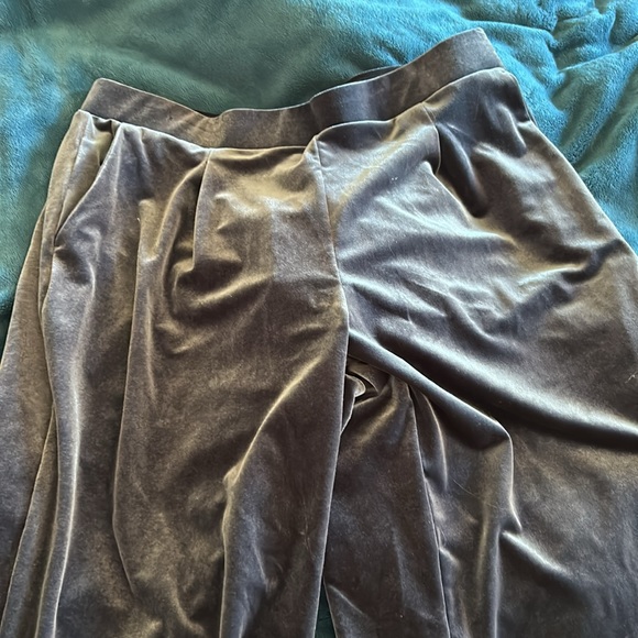 Blue velvet pants by loft - Picture 2 of 4